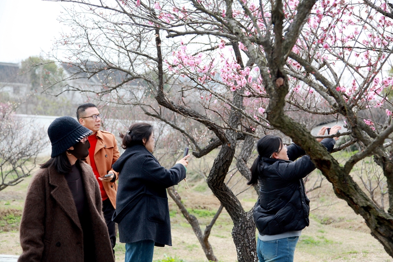 春暖三月 绽放芳华 ——木渎镇成人教育中心校开展“三八”妇女节系列庆祝活动